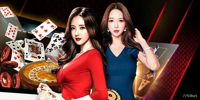 7753bet